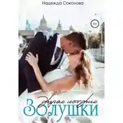 Постер книги Другая история Золушки