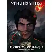 Постер книги Бессистемная отладка. Утилизация
