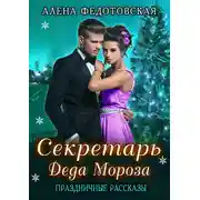 Постер книги Секретарь Деда Мороза