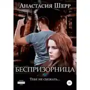 Постер книги Беспризорница