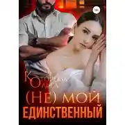 Постер книги (Не) мой единственный