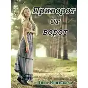 Постер книги Приворот от ворот