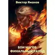 Постер книги Бои магов. Финальный раунд