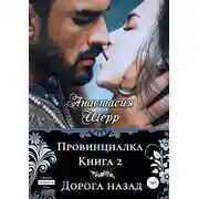 Постер книги Провинциалка 2. Дорога назад