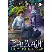 Постер книги Зардан. Последний маг