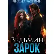 Постер книги Ведьмин зарок