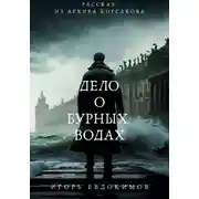 Постер книги Дело о бурных водах