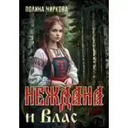 Постер книги Неждана и Влас
