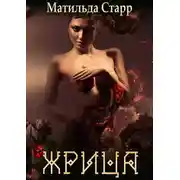 Постер книги Жрица