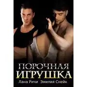 Постер книги Порочная игрушка