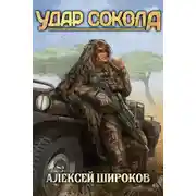 Постер книги Удар сокола