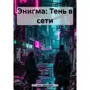 Постер книги Энигма: Тень в сети