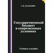 Постер книги Государственный бюджет в современных условиях