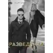 Постер книги Разведенка
