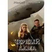 Постер книги Чёрный лама