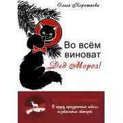 Постер книги Во всём виноват Дед Мороз!