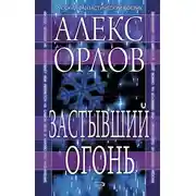 Постер книги Застывший огонь