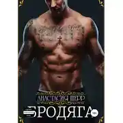 Постер книги Бродяга