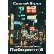 Постер книги Расколотый мир. Лабиринт