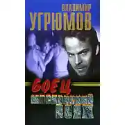 Постер книги Боец. Московский вояж