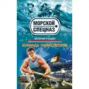 Постер книги Команда ликвидаторов