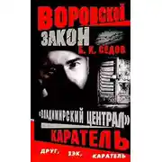 Постер книги Каратель