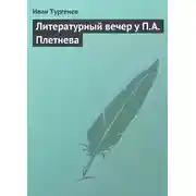 Постер книги Литературный вечер у П.А. Плетнева