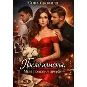 Постер книги После измены. Меня полюбил другой