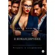 Постер книги В командировке