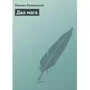 Постер книги Два мага