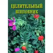 Постер книги Целительный шиповник