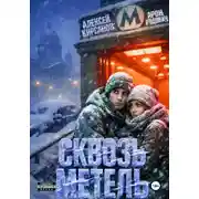 Постер книги Сквозь Метель