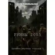 Постер книги Руины 2055. Хроники мёртвых городов 1