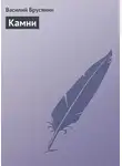 Василий Брусянин - Камни