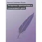 Постер книги Загадочное происшествие в сумасшедшем доме