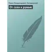 Постер книги От сохи к ружью