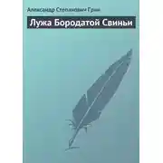 Постер книги Лужа Бородатой Свиньи