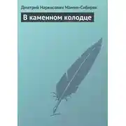 Постер книги В каменном колодце