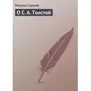 Постер книги О С. А. Толстой
