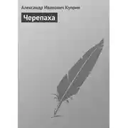 Постер книги Черепаха