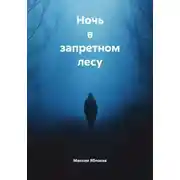 Постер книги Ночь в запретном лесу