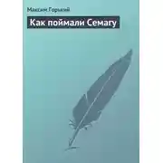 Постер книги Как поймали Семагу