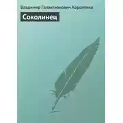 Постер книги Соколинец