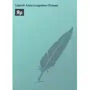 Постер книги Яр