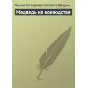 Постер книги Медведь на воеводстве