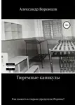 Александр Воронцов - Тюремные каникулы