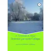 Постер книги Золотые россыпи Сибири