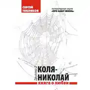 Постер книги Двуллер-2: Коля-Николай
