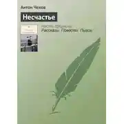Постер книги Несчастье