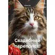 Постер книги Свадебный переполох!